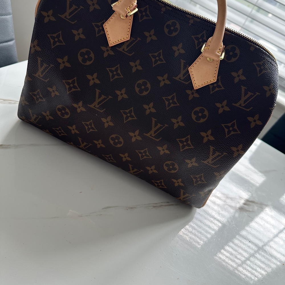 Louis Vuitton Monogram Brown Handbag